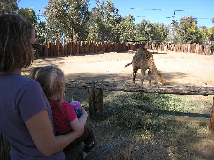 2nd Birthday at the zoo 33.JPG